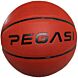 Pegasi Basketball Größe 7