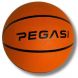 Pegasi Basketball Größe 5