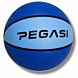 Pegasi basketbal Größe 5 Sky
